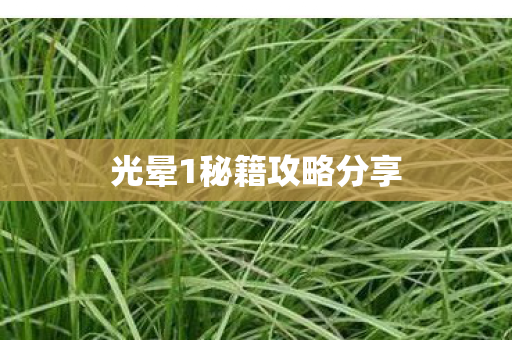 光晕1秘籍攻略分享图片