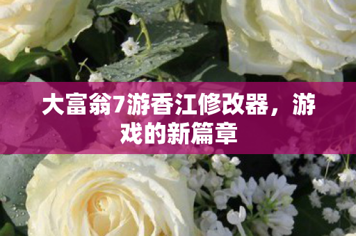 大富翁7游香江修改器图片