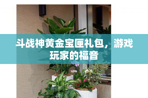 斗战神黄金宝匣礼包图片