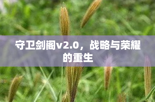 战略与荣耀的重生图片