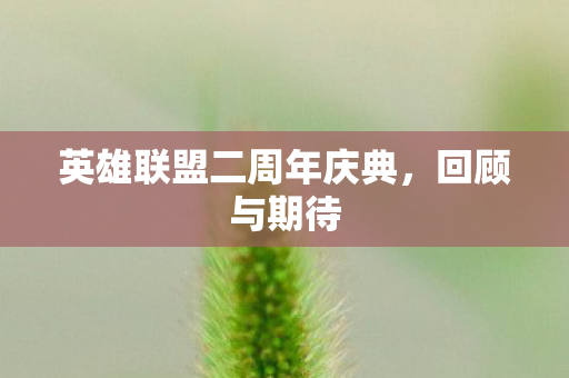 英雄联盟二周年庆典图片