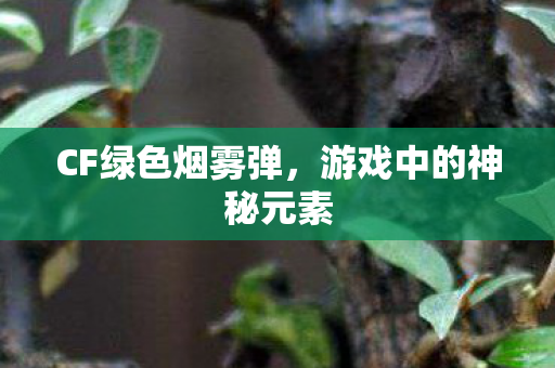 游戏中的神秘元素图片