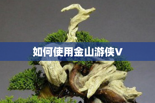 如何使用金山游侠V图片
