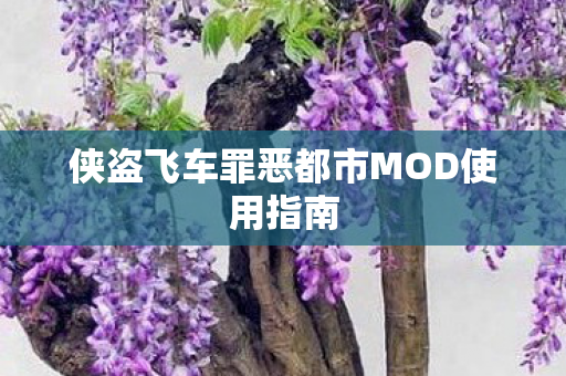 侠盗飞车罪恶都市MOD使用指南图片