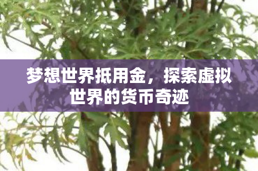 探索虚拟世界的货币奇迹图片