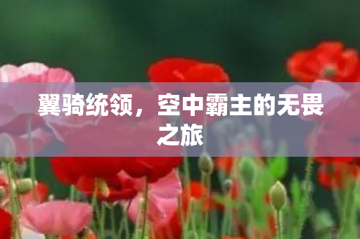 空中霸主的无畏之旅图片