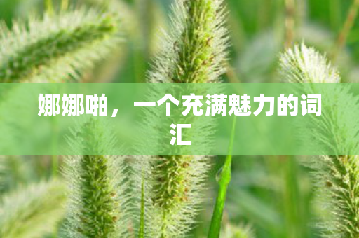 一个充满魅力的词汇图片