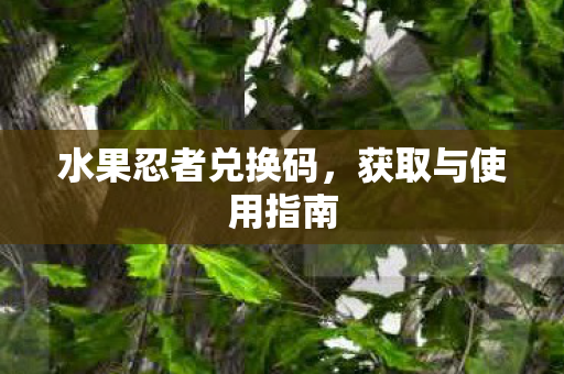水果忍者兑换码图片