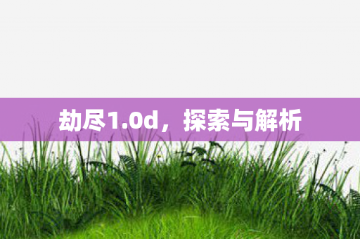 探索与解析图片