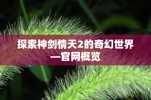 探索神剑情天2的奇幻世界图片