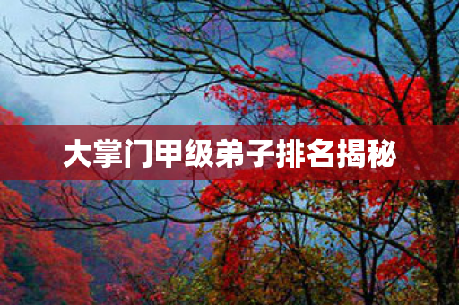 大掌门甲级弟子排名揭秘图片