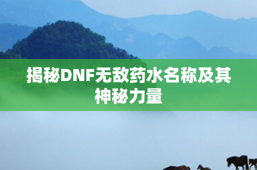揭秘DNF无敌药水名称及其神秘力量图片