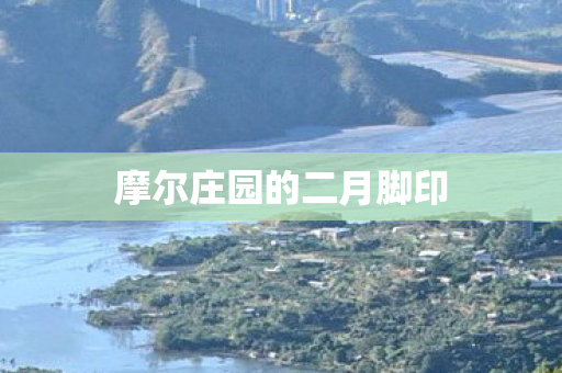 摩尔庄园的二月脚印图片