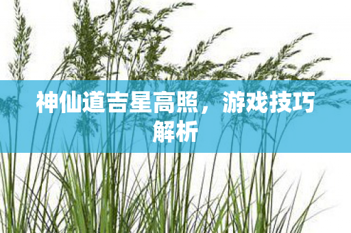 神仙道吉星高照图片