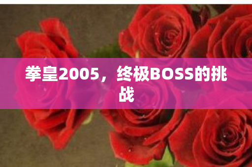 终极BOSS的挑战图片