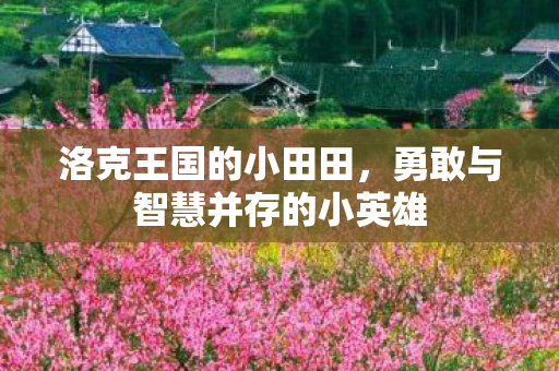 勇敢与智慧并存的小英雄图片