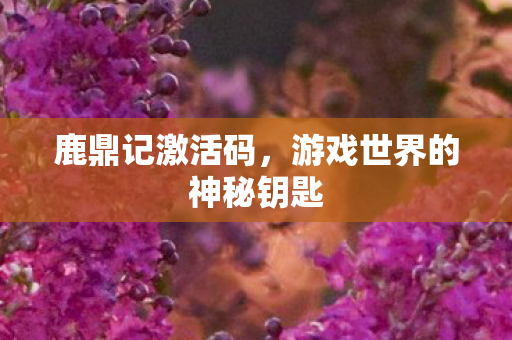 游戏世界的神秘钥匙图片