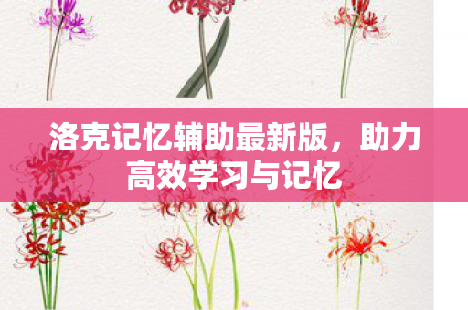 洛克记忆辅助最新版图片