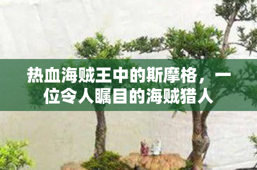 一位令人瞩目的海贼猎人图片