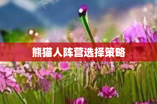 熊猫人阵营选择策略图片