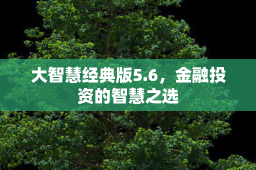 金融投资的智慧之选图片