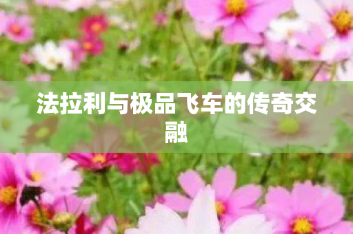 法拉利与极品飞车的传奇交融图片