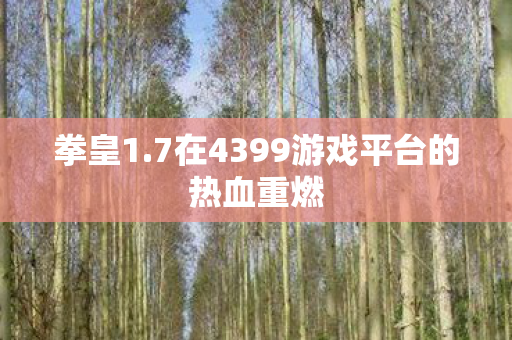 7在4399游戏平台的热血重燃图片