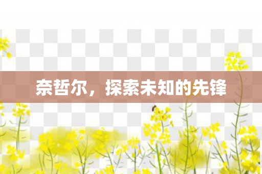 探索未知的先锋图片