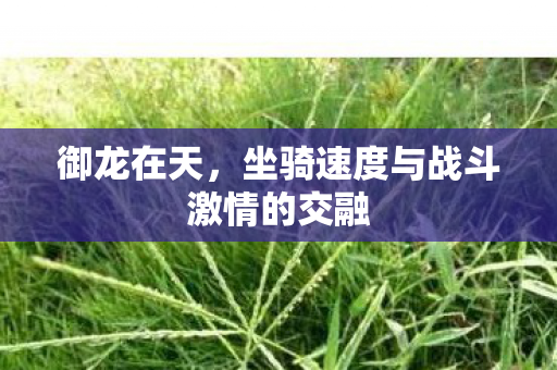 坐骑速度与战斗激情的交融图片