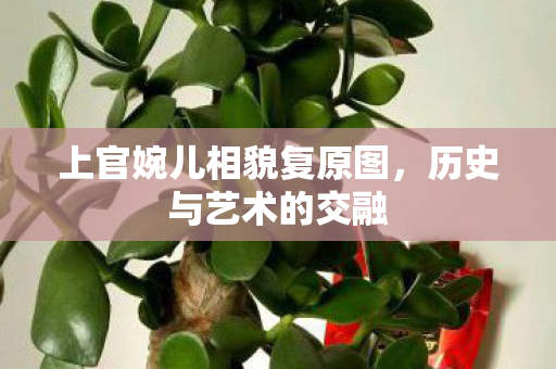 上官婉儿相貌复原图图片