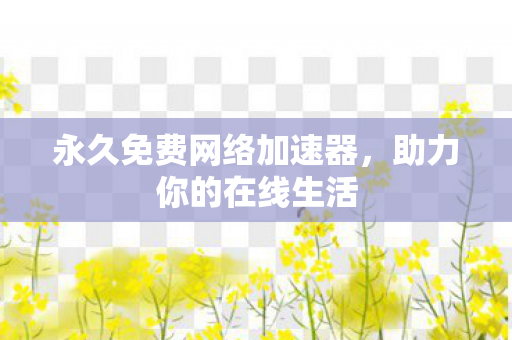 永久免费网络加速器图片
