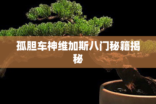 孤胆车神维加斯八门秘籍揭秘图片