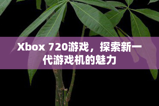 探索新一代游戏机的魅力图片