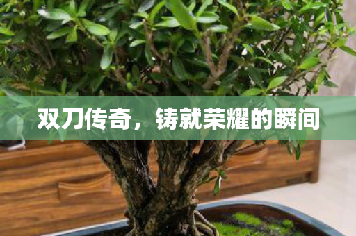 铸就荣耀的瞬间图片