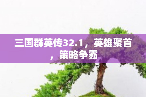 三国群英传32图片