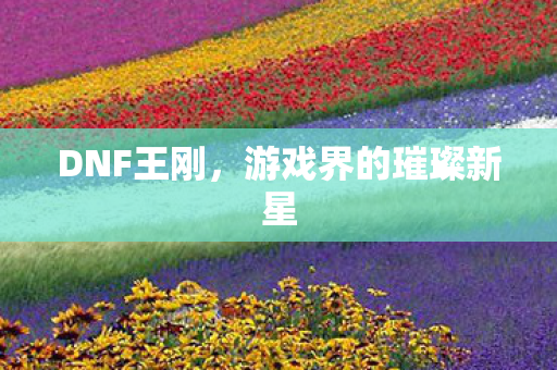 游戏界的璀璨新星图片