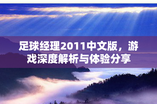 足球经理2011中文版图片