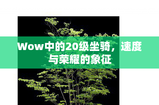 Wow中的20级坐骑图片