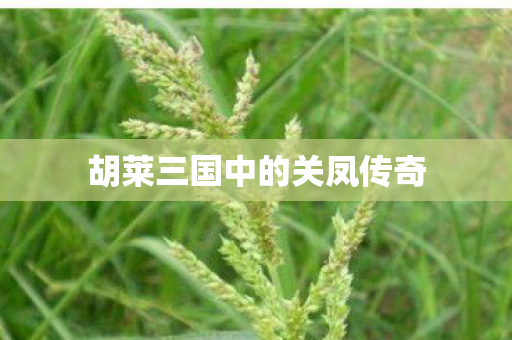 胡莱三国中的关凤传奇图片