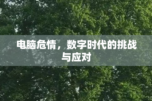 数字时代的挑战与应对图片