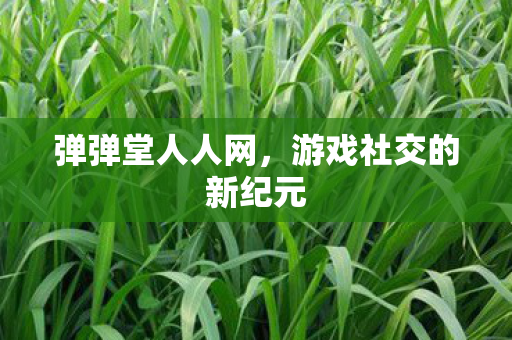 游戏社交的新纪元图片