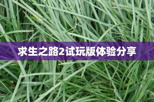 求生之路2试玩版体验分享图片
