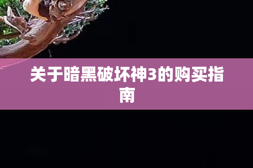关于暗黑破坏神3的购买指南图片