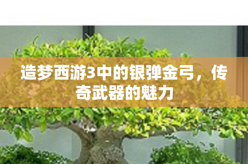 造梦西游3中的银弹金弓图片