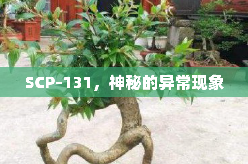 神秘的异常现象图片