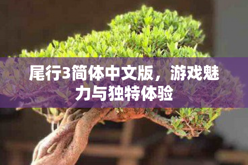 游戏魅力与独特体验图片