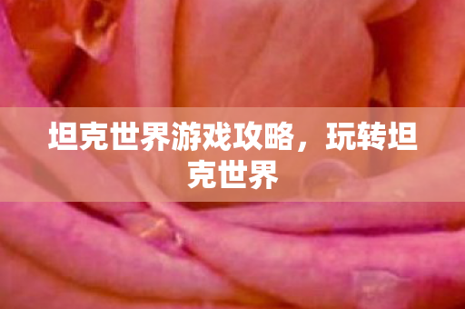 坦克世界游戏攻略图片