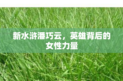 英雄背后的女性力量图片