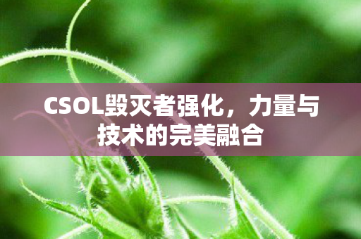 力量与技术的完美融合图片
