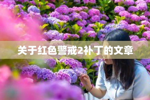 关于红色警戒2补丁的文章图片